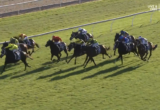 A pack of jockeys on racehorses galloping on a green turf track during a race, with long shadows and a white rail on the side.