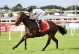 Jockey in white silks and black helmet riding a brown horse at full gallop on a grassy race track.