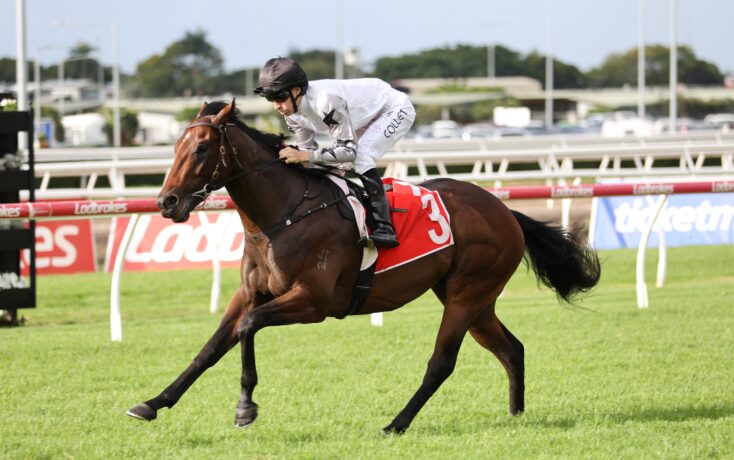 Jockey in white silks and black helmet riding a brown horse at full gallop on a grassy race track.