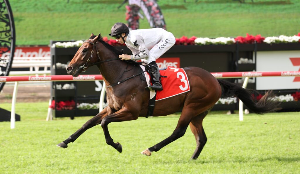 The Next Episode 3 | Just Horse Racing Jockey in white silks riding a galloping dark brown horse with red saddlecloth number 3 on a grassy racetrack.