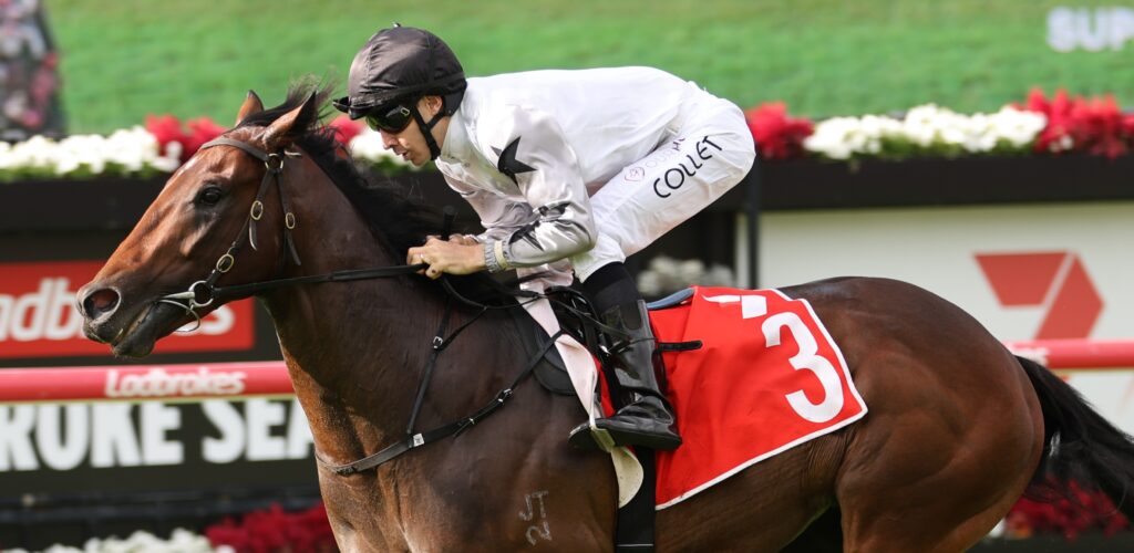 Jockey in white silks and black helmet riding a trotting horse mid-race with a red saddlecloth numbered 3 on a racetrack.
