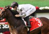 Jockey in white silks and black helmet riding a trotting horse mid-race with a red saddlecloth numbered 3 on a racetrack.