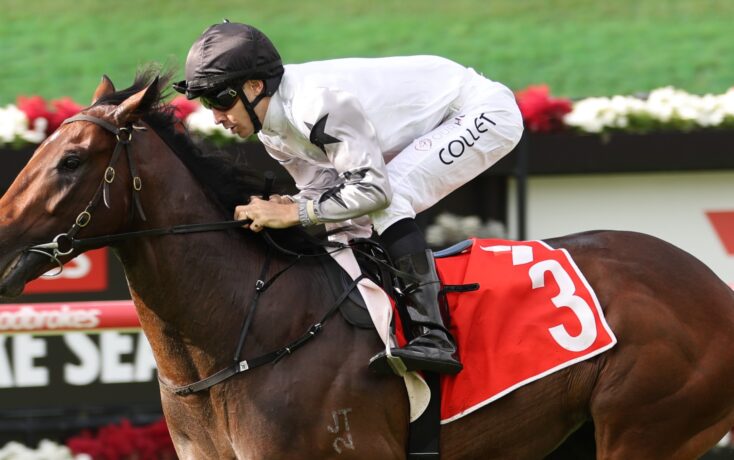 Jockey in white silks and black helmet riding a trotting horse mid-race with a red saddlecloth numbered 3 on a racetrack.