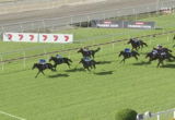 Short close-up of multiple jockeys racing horses on a sunny turf track, banners along the rails reading Stradbroke Season in the background.