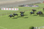 Short close-up of multiple jockeys racing horses on a sunny turf track, banners along the rails reading Stradbroke Season in the background.