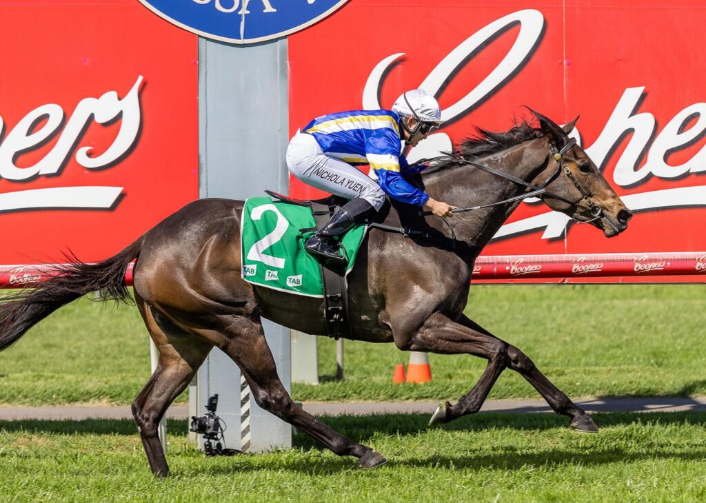 Dark brown racehorse with a green number 2 saddlecloth gallops on a grassy track, ridden by a jockey in blue and yellow silks and white helmet.