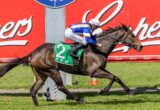 Dark brown racehorse with a green number 2 saddlecloth gallops on a grassy track, ridden by a jockey in blue and yellow silks and white helmet.