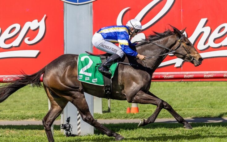 Dark brown racehorse with a green number 2 saddlecloth gallops on a grassy track, ridden by a jockey in blue and yellow silks and white helmet.