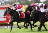 Several racehorses gallop side by side with jockeys in bright silks, charging toward the finish on a green track with a red-and-white barrier in the background.
