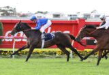 Three racehorses sprinting along a red fenced track, jockeys in blue and white silks close to the finish, with Ladbrokes branding on the rail.