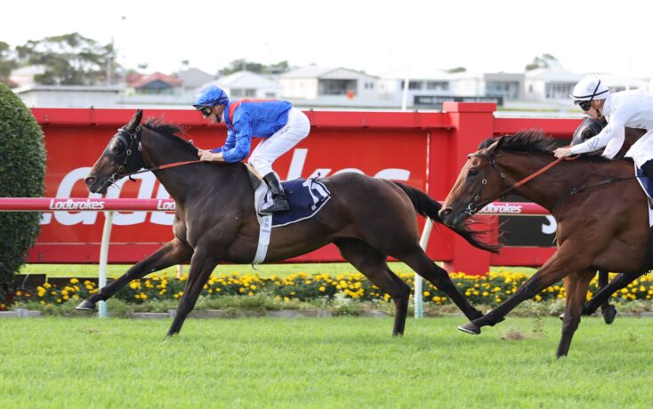 Three racehorses sprinting along a red fenced track, jockeys in blue and white silks close to the finish, with Ladbrokes branding on the rail.