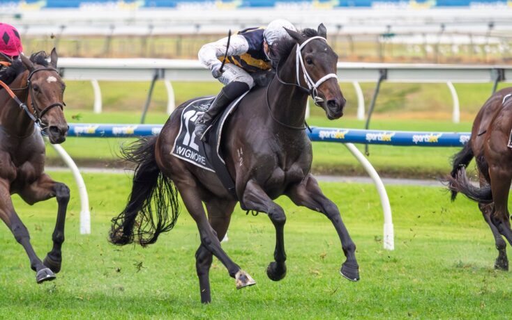 Dark bay racehorse gallops on a grassy track with a jockey in white and yellow silks, rivals close by in the background.