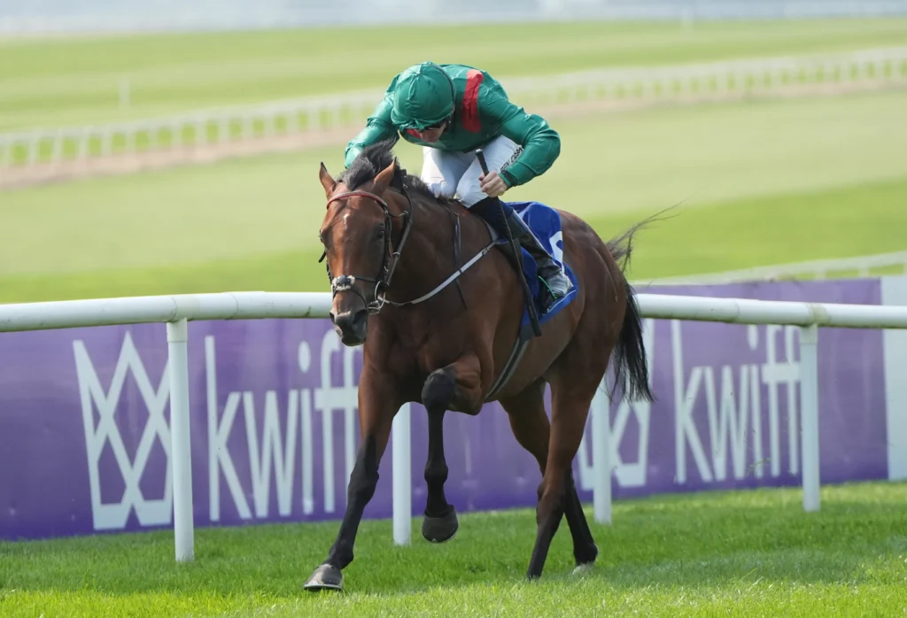 Jockey in green silks on a brown horse jumping a hurdle on a grass racecourse, with purple advertising boards in the background.