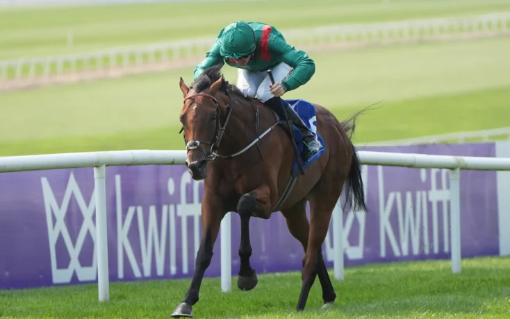 Jockey in green silks on a brown horse jumping a hurdle on a grass racecourse, with purple advertising boards in the background.