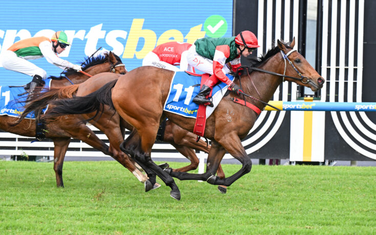 Horse race in progress with jockeys riding at full speed on a grassy track, colorful silks visible against a blue sponsor backdrop.