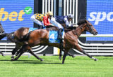 Two jockeys in bright silks ride fast, dark horses sprinting on a green turf with blue sponsor boards in the background.
