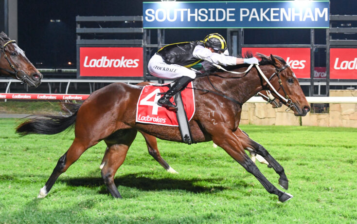 Nighttime horse race: two jockeys ride fast brown horses on a track with Ladbrokes signage in the background.