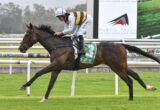 Jockey in white and yellow silks rides a dark bay horse with green number-3 saddlecloth on a grassy racetrack.