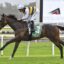 Jockey in white and yellow silks rides a dark bay horse with green number-3 saddlecloth on a grassy racetrack.