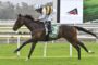 Jockey in white and yellow silks rides a dark bay horse with green number-3 saddlecloth on a grassy racetrack.