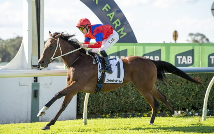 Jockey in a red helmet and blue‑red silks rides a galloping bay horse during a race on a sunny track.