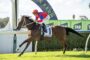 Jockey in a red helmet and blue‑red silks rides a galloping bay horse during a race on a sunny track.