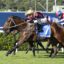 Horse race in progress: two jockeys in colorful silks riding fast brown horses on a green track, front-runner wearing yellow helmet and maroon silks.