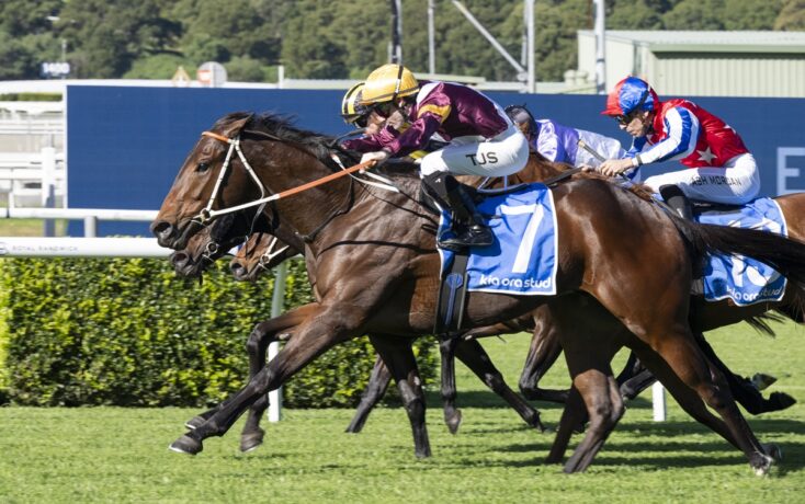 Horse race in progress: two jockeys in colorful silks riding fast brown horses on a green track, front-runner wearing yellow helmet and maroon silks.