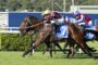 Horse race in progress: two jockeys in colorful silks riding fast brown horses on a green track, front-runner wearing yellow helmet and maroon silks.
