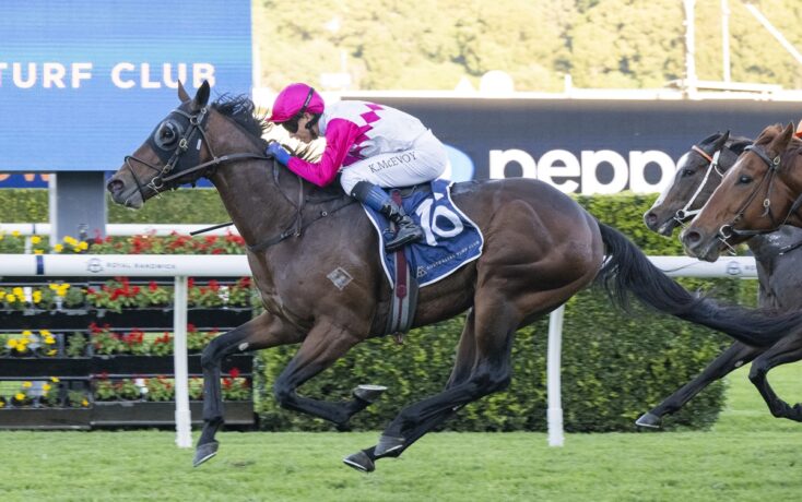 Horse racing scene with a jockey in pink and white riding a dark horse pursued by another horse on a turf track.