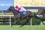 Horse racing scene with a jockey in pink and white riding a dark horse pursued by another horse on a turf track.