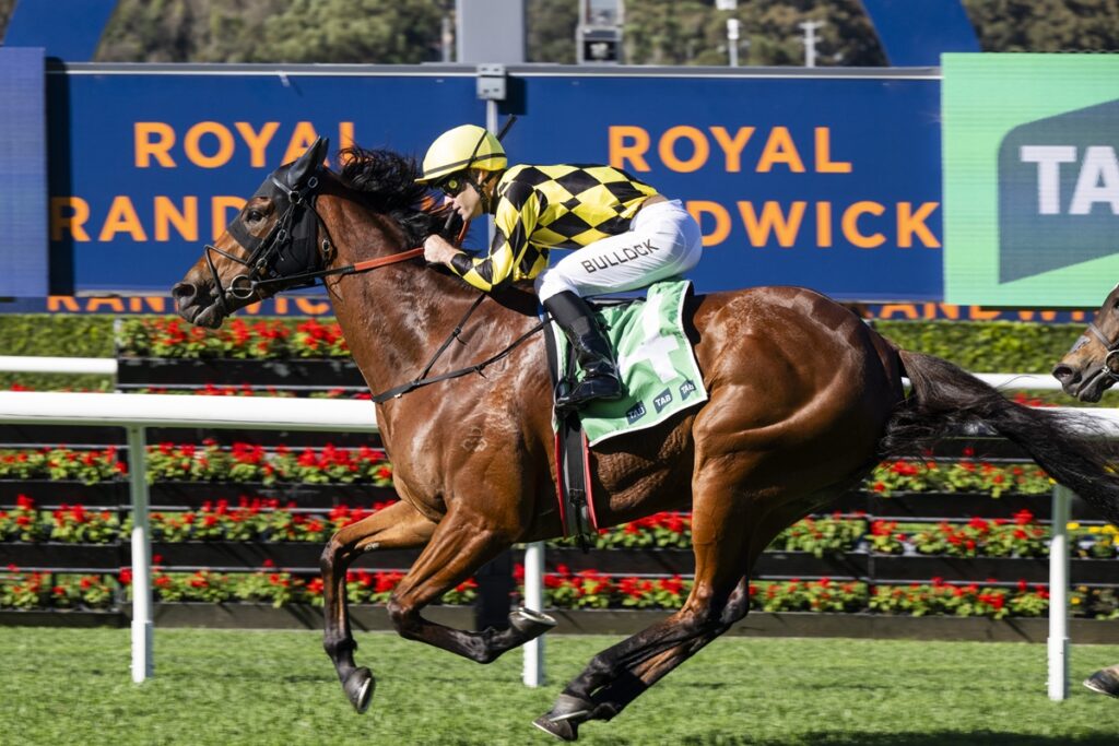 Jockey in yellow and black checkered silks riding a brown horse racing on a track, with 'Royal Randwick' signage in the background.