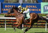 Jockey in yellow and black checkered silks riding a brown horse racing on a track, with 'Royal Randwick' signage in the background.