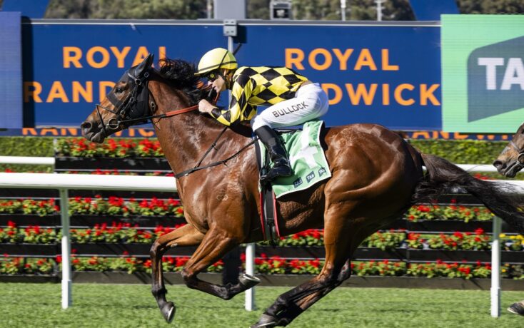 Jockey in yellow and black checkered silks riding a brown horse racing on a track, with 'Royal Randwick' signage in the background.