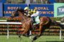 Jockey in yellow and black checkered silks riding a brown horse racing on a track, with 'Royal Randwick' signage in the background.
