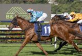 Bay racehorse wearing number 11 with blue silks leads a sprint on a grass track, jockey in light blue and white.