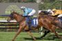 Bay racehorse wearing number 11 with blue silks leads a sprint on a grass track, jockey in light blue and white.