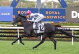 Jockey in pink cap rides a black horse jumping at a racecourse with Royal Randwick signage behind them in mid-air.