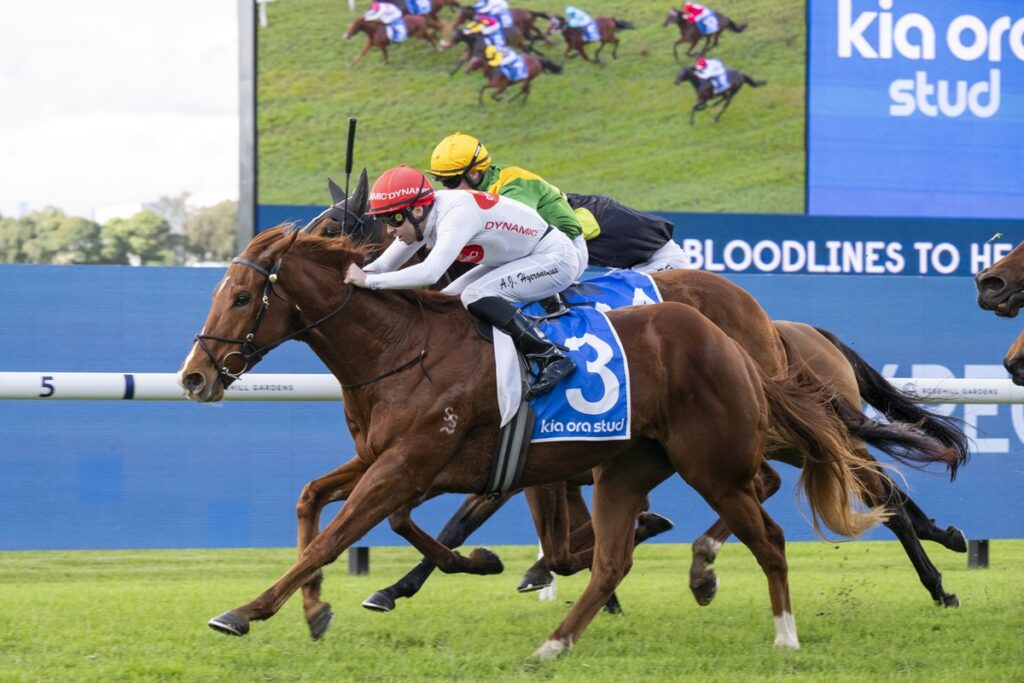 Three jockeys race side by side on galloping horses on a grassy track, front horse wearing blue saddlecloth with number 3.