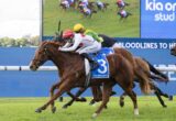 Three jockeys race side by side on galloping horses on a grassy track, front horse wearing blue saddlecloth with number 3.