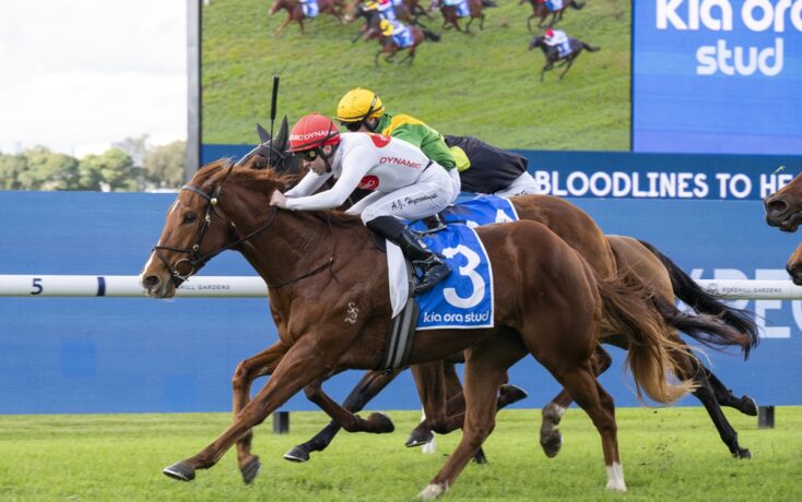 Three jockeys race side by side on galloping horses on a grassy track, front horse wearing blue saddlecloth with number 3.