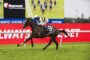 Jockey in yellow-and-black silks riding a dark brown horse mid-race on a grassy track with large red advertising boards behind.