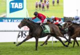 Horse race in progress: leading brown horse with green saddlecloth is ahead of two trailing horses on a grassy track under a large TAB banner screen.