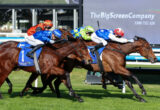 Jockeys in bright silks ride brown horses in a close sprint on a grassy racetrack, riders leaning forward in a tight pack.