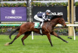 Jockey in navy and white checkered silks rides a brown horse on a Flemington racecourse, with flower-filled fences in the background.
