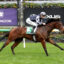 Jockey in navy and white checkered silks rides a brown horse on a Flemington racecourse, with flower-filled fences in the background.