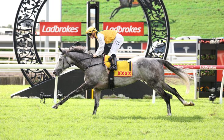 Jockey in yellow and white silks riding a gray horse as it clears a decorative hurdle with Ladbrokes banners in the background.