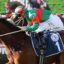 Jockey in green and red silks leans forward on a brown racehorse during a race.