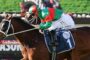 Jockey in green and red silks leans forward on a brown racehorse during a race.