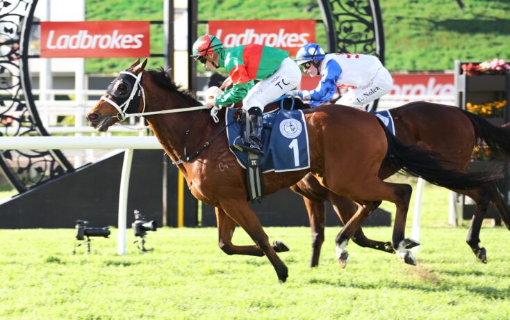 Two jockeys ride powerful galloping racehorses on a track, with Ladbrokes banners in the background and numbers on blue saddlecloths.